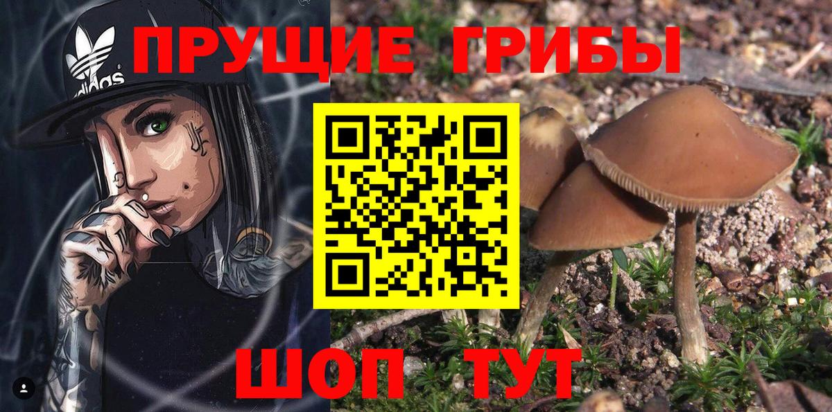 Псилоцибиновые грибы мухоморы  Вход с VPN  Геленджик 